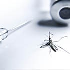 ICICI Lombard Dengue & Malaria Insurance